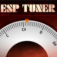 ESP Guitar Screenshot